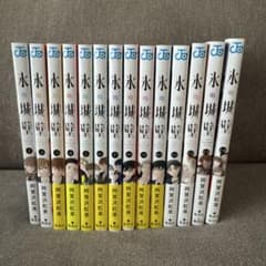 氷の城壁 全巻セット 1-14巻 - メルカリ