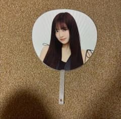 m41559820192_1.jpg?1725004754