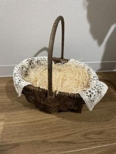 リングガール　リングボーイ　かごのサムネイル