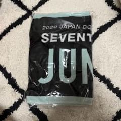 SEVENTEEN JUN タオルのサムネイル