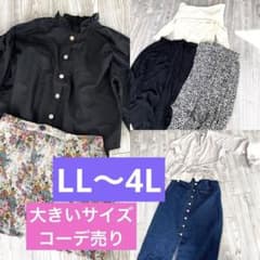 大きいサイズ 3L~4L レディース まとめ売り コーデ ぽっちゃりのサムネイル