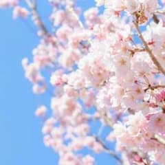 yゆー様専用のサムネイル