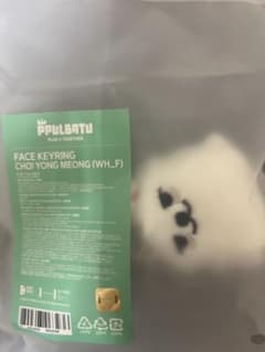 TXT PPULBATU フェイスキーリング スビンのサムネイル