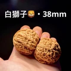 【極美品】遊びクルミ文玩核桃・白獅子ホワイトライオン39.5mm経年変化天然胡桃 美品】遊びクルミ文玩核桃・白獅子（ホワイトライオン）38mm経年変化