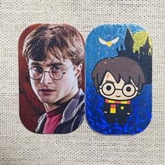 新品　ハリーポッター　メタルミニカード　10パックセット m41567085684_1.jpg?1716958577