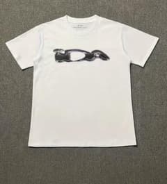 IDA sply Tシャツ ストリート 海外 メンズS 短丈ホワイト 美品 希少
