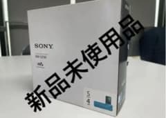 SONY ウォークマンPLAYER NW-$313K 4GB 新品