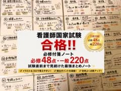 【看護師国家試験対策！！必修付箋ノートまとめ】のサムネイル