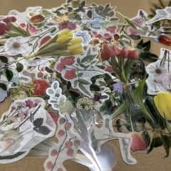 コラージュ素材 おすそ分け⑦ 植物 花 フレークシールのサムネイル