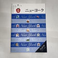 大人カワイイ女子旅案内ララチッタ　ニューヨークのサムネイル