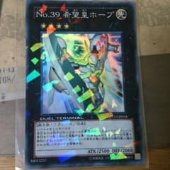No.39 希望皇ホープのサムネイル