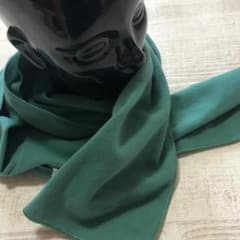 2009年モデル・ほぼデッド‼️ パタゴニア マイクロ・デラックス