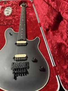 MRT様専用　EVH Wolfgang USA SBのサムネイル
