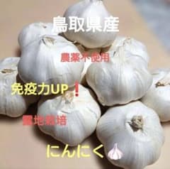 鳥取県産 農薬不使用 ニンニク - メルカリ