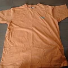 ノースフェイス　Tシャツのサムネイル