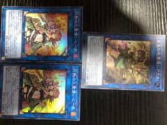 遊戯王★デッキパーツ【霊使いリンクモンスター】3枚セットのサムネイル
