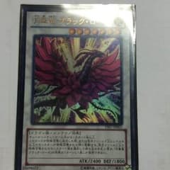 ouzisama専用のサムネイル