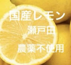 85国産瀬戸田レモン - 5