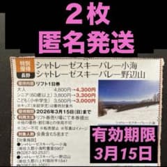 2枚 シャトレーゼスキーバレー小海 野辺山 リフト1日券 割引券