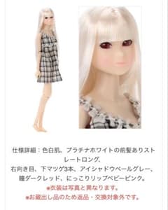 【新品】Wake-Up momoko DOLL Azone003 ドールのサムネイル