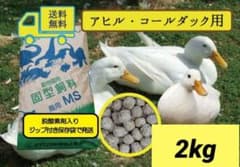アヒル、コールダック用飼料　10kg オリエンタル酵母工業ms 送料無料】アヒル、コールダック用飼育飼料 MS - メルカリ