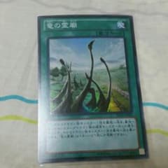竜の霊廟　一枚のサムネイル