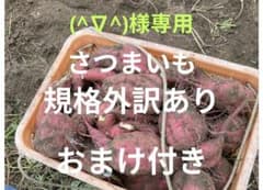 (^∇^)様専用さつまいも 規格外訳あり おまけ付き箱込み２０キロ以下のサムネイル