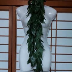フラダンス　タヒチアンダンス　シングルマイレのサムネイル