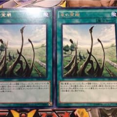 送料込み！竜の霊廟2枚のサムネイル