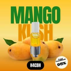 リピ割【至福】琥珀の南果 MangoKush H4CBH 1mlリキッド 54 至福】琥珀の南果 MangoKush H4CBH 1mlリキッド 54 - メルカリ
