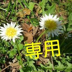 ショコラ様専用のサムネイル