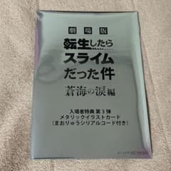 전슬라 메탈릭 일러스트 카드