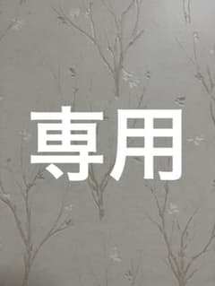 専用ページのサムネイル