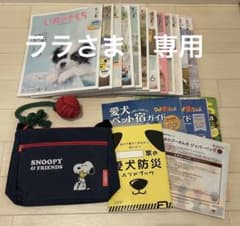 いぬのきもち 1年分+ 付録セット SNOOPYバッグ、ロープトイ　他のサムネイル
