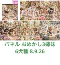 オーダーページ パネル おめかし3姉妹 6犬種 8.9.26 - メルカリ
