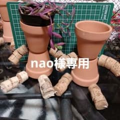 ガーデン雑貨2個セット●テラコッタ●多肉植物のサムネイル