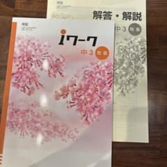 【中学3年 社会】iワーク(帝国)のサムネイル