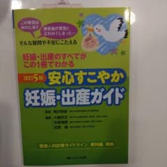 安心すこやか妊娠・出産ガイド : 妊娠・出産のすべてがこの1冊でわかる : こ…のサムネイル