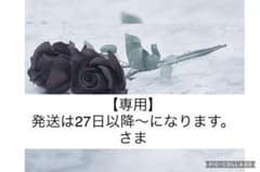ナノフレア 800 4UG5のサムネイル