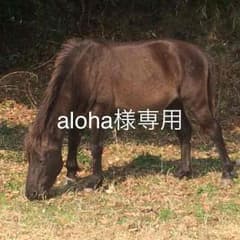 サッポロ 麦とホップコースターのサムネイル