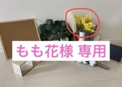 もも花様専用のサムネイル