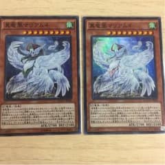 真竜凰マリアムネのサムネイル