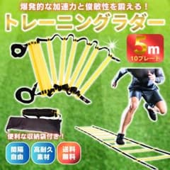 トレーニングラダー 5m 10枚 収納袋付き 敏捷性 瞬発力 体幹 強化