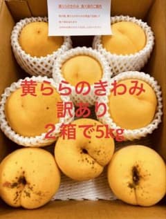 たくさん食べたい黄ららのきわみ　訳あり約5kgのサムネイル