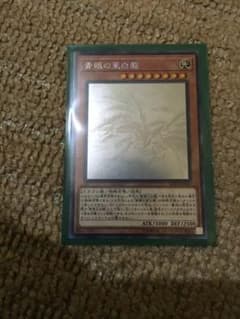 遊戯王 青眼の亜白龍 ホロのサムネイル