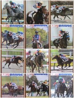 City BRIDGE 2023年1〜12月号 12冊 友駿ホースクラブ愛馬会」