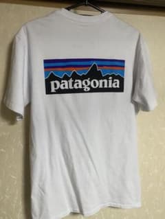 patagonia パタゴニア Tシャツのサムネイル