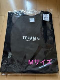 岩田剛典 TEAM G ロングスリーブTシャツ Mサイズ - メルカリ