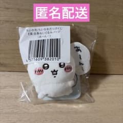 치이카와 치이카와다라케쿠지 E상 전신 봉제인형 배지 아-응