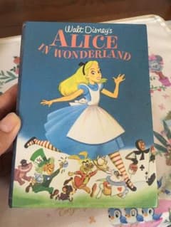 アリス 本型入れ物！のサムネイル